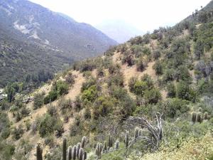 Gallery image of Refugio Atreyu in Santiago