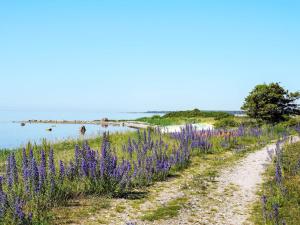 Billede fra billedgalleriet på 5 star holiday home in Gotlands Tofta-By Traum i Tofta + 26 billeder