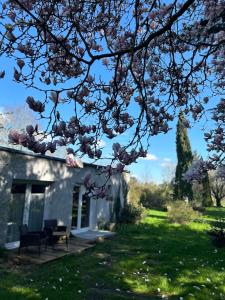 ein Haus mit einem blühenden Baum im Hof in der Unterkunft La maison du jardin in Douai