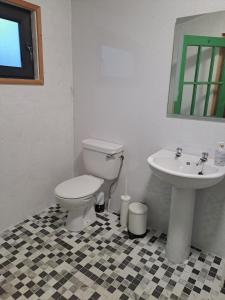 a bathroom with a toilet and a sink at The Snowdrop in Galway