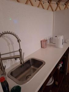 高威的住宿－The Snowdrop，厨房内带水槽的厨房台面