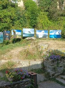 un giardino con foto di balene e fiori di Au cœur des Artisans d'Arts a La Gacilly