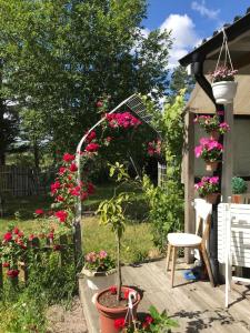 um jardim com flores cor-de-rosa, uma mesa e uma cadeira em bnb mary em Björnlunda