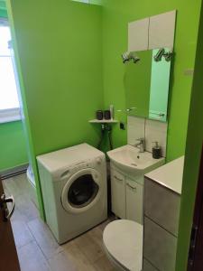 uma casa de banho verde com uma máquina de lavar roupa e um lavatório em Apartament Jaśminów em Ruda Śląska