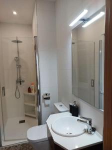 a bathroom with a sink and a toilet and a shower at Piso familiar zona estación tren- bus-4 caminos in A Coruña