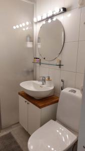 a bathroom with a sink and a toilet and a mirror at Scandinavian Home in Rovaniemi