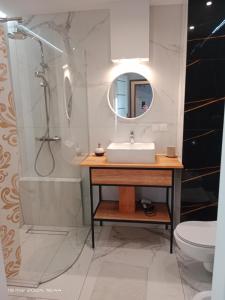 a bathroom with a sink and a shower and a mirror at Długie Ogrody Garden Gates in Gdańsk