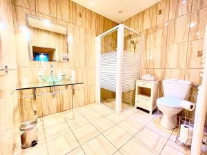 a bathroom with a toilet and a sink at Le Relais des Anges in Mercuès