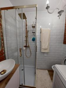 ein Bad mit einer Dusche und einem Waschbecken in der Unterkunft Piękne mieszkanie w zielonej okolicy in Krakau