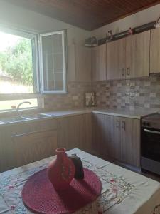 a kitchen with a red vase sitting on a table at Ostriche House in Pentátion