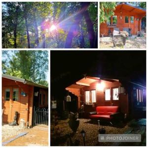 een collage van drie foto's van een huis met een rode bank bij Chalet op een rustig park in de natuur in Putten