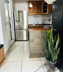 a kitchen with a stainless steel refrigerator and a potted plant at Casa milito bonito in Morelia