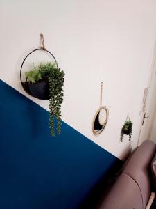 a blue and white wall with a plant and a mirror at Studio B aux pieds des Thermes in Néris-les-Bains