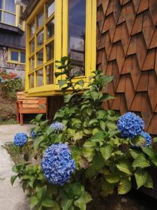 Foto de la galería de Cabañas Arrayán en Ancud