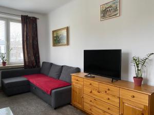 uma sala de estar com um sofá e uma televisão de ecrã plano em Apartament przy Parku Czartoryskich em Puławy