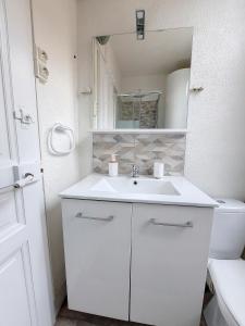 a bathroom with a white sink and a toilet at Maison La Petite Bleue - Balcon - Wifi Fibre - Menage inclus in Tarbes