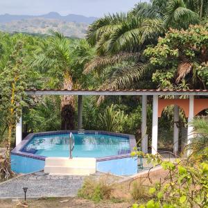 a swimming pool in a yard with palm trees at Magic Mountain Lodge in Las Lajas