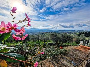 Gallery image of Villetta dei Fagiani - B&B in Montauto