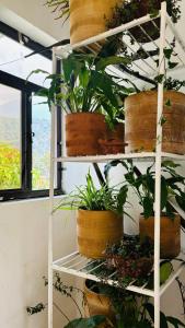 صورة لـ 4 Elementos Hostal في سان خوان لاجونا