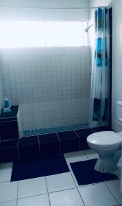a bathroom with a toilet and a shower at Carenage Ocean View in DʼArbeau