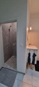 y baño con ducha, aseo y lavamanos. en Spacious 2 Bedroom Apartment with Court yard - Antwerp Smooth Stays, en Amberes