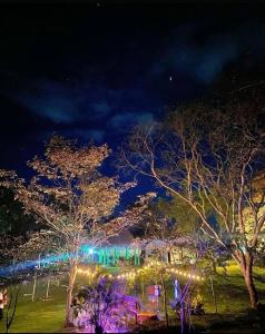 un grupo de árboles con luces por la noche en COVEÑITAS MC1P2 Cabaña amplia y tranquila con Piscina tipo PLAYA, Máximo 32 Personas en Melgar
