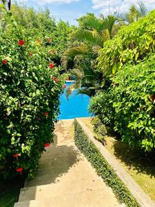 a pathway with flowers and a pool in the background at Los Vados Hotel in Managua