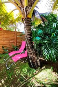 a pink chair sitting next to a palm tree at Ti Grounouy in Le Diamant