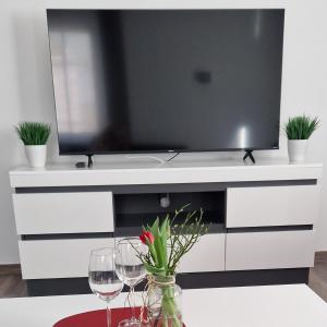 a tv on a white entertainment center with wine glasses at Haus Ludwig in Freudenstadt