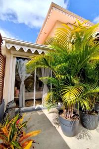 a pair of palm trees in pots in front of a house at Ti Grounouy in Le Diamant