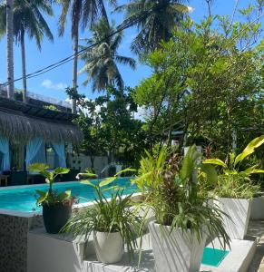 a resort with a pool and palm trees at Siargao Residency by Privacy Group in General Luna