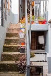 un conjunto de escaleras con macetas. en La bodega D'leti en Jarandilla de la Vera