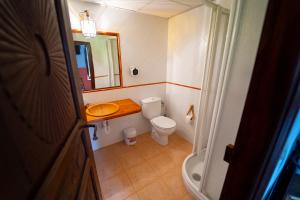 een badkamer met een toilet, een wastafel en een spiegel bij La bodega D'leti in Jarandilla de la Vera
