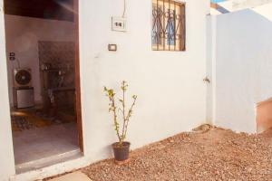 Fotografie z fotogalerie ubytování The cozy studio v destinaci Dahab
