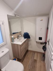 a bathroom with a toilet and a sink and a mirror at Cosy Chalet - Disney - Val d'Europe - Vallée Shopping - Parrot World in Villiers-sur-Morin +4 photos