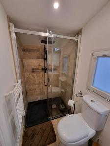 La petite salle de bains est pourvue d'une douche et de toilettes. dans l'établissement Chalet 2 personnes Disney, Val d'Europe, Parrot world, à Villiers-sur-Morin