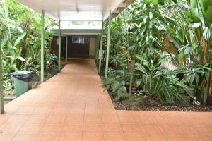 a hallway of a building with trees and plants at Pacific Gardens Hotel in Goroka
