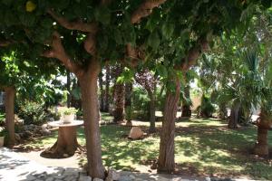 a park with trees and a table in the grass at Chalet in PEÑISCOLA in Peñíscola