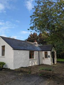 a small white house with a black roof at Molly's Cottage in Larne