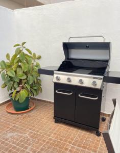 a stove in a kitchen with a potted plant at UIM Mediterraneo PB Miguel Hernandez Wifi in Puerto de Sagunto