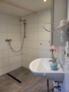 een badkamer met een wastafel en een douche bij Mandelas Cozy Lounge in Schmelz