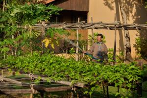 Ein Garten an der Unterkunft Green Bay Phu Quoc Resort & Spa