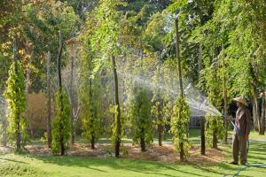 Ein Garten an der Unterkunft Green Bay Phu Quoc Resort & Spa