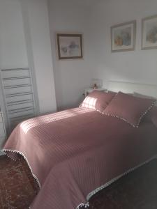 プラド・デル・レイにあるAires de Grazalemaのベッド1台(ピンクのベッドカバー付)と壁に2枚の絵が飾られています。