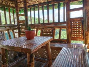 a potted plant sitting on a wooden table in a cabin at Cabin de Paulin 2 in Tagaytay