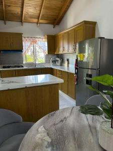 a kitchen with wooden cabinets and a stainless steel refrigerator at Richie’s House En Licey Al Medio in Santiago de los Caballeros