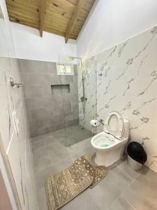 a bathroom with a toilet and a shower at Richie’s House En Licey Al Medio in Santiago de los Caballeros
