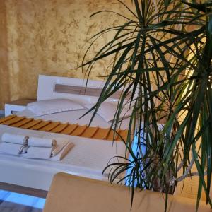 a bed with white sheets and a plant in a room at Panorama view with terrace in Bucharest