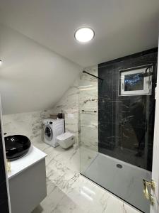 a bathroom with a shower and a toilet and a sink at Apartments Green Linden in Rakovica