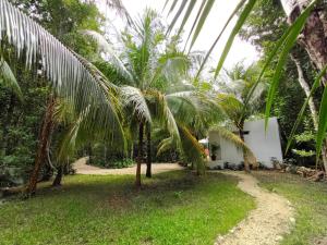 Κήπος έξω από το Villa Ixchel private pool +7 φωτογραφίες